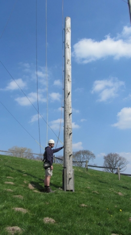 Pamper Pole