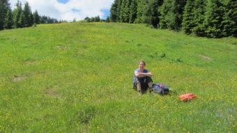 Mühlbach, Österreich; Juli 2013: Schwarze Piste unterhalb der Karbachalm