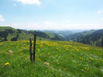 Blick ins Emmental